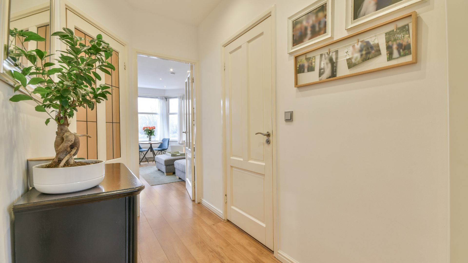 Bright hallway with bonsai tree, white doors, and framed photos